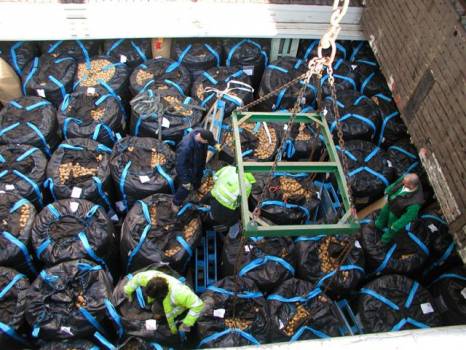 Agréage de primeurs à Marseille