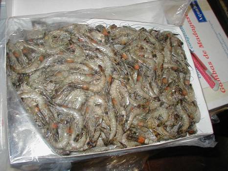 Déchargement de produits surgelés à Port Saint Louis du Rhône