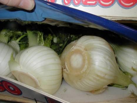 Expertise et Inspection à Fos-sur-Mer, Marseille, Sète et Port-la-Nouvelle