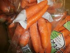 Expertise de carottes à Perpignan