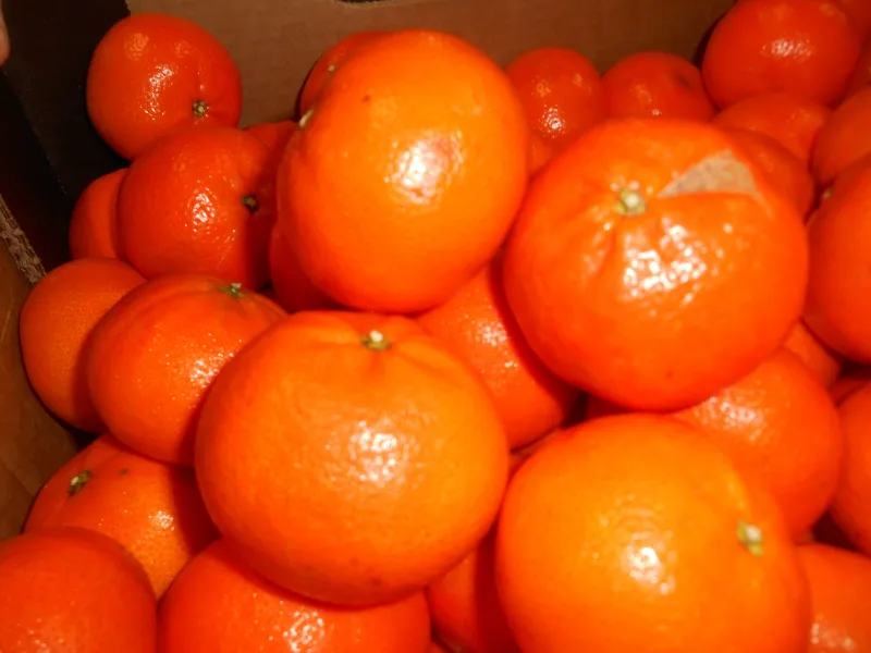 Réalisation inspections d'agréages avant commercialisation de fruits et légumes dans le sud de la France