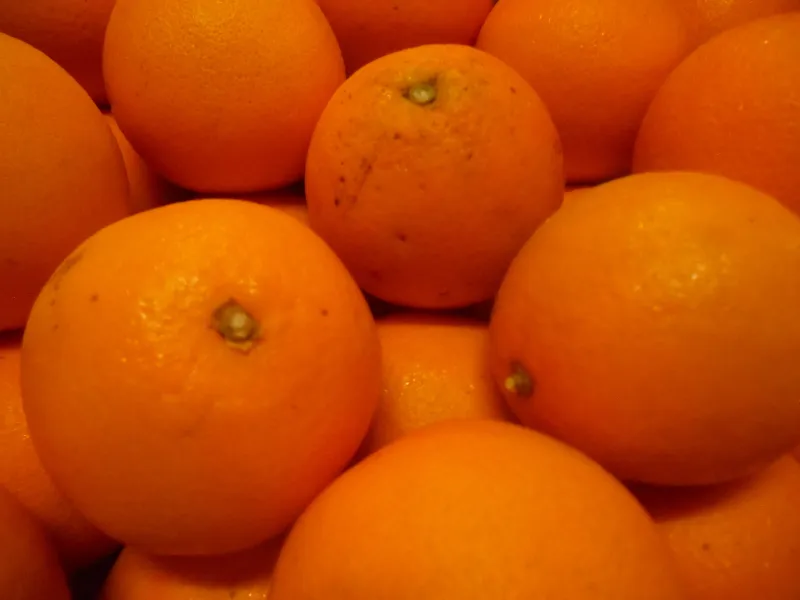 Réalisation inspections d'agréages avant commercialisation de fruits et légumes dans le sud de la France