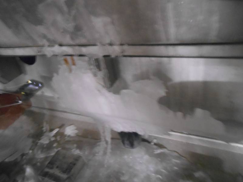 Expertise sur des crevettes surgelées suite à un problème de température Bouches du Rhône