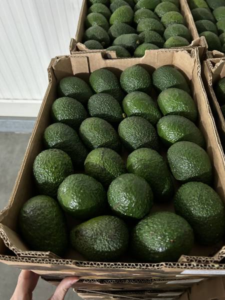 Quelles sont les obligations de conformité des marchandises à l’export en 2025 ?