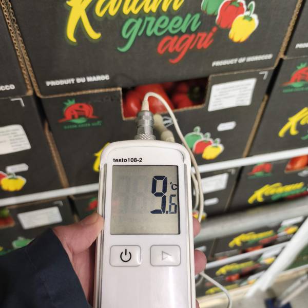 Expertise courgettes