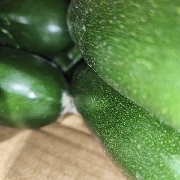 Expert Bouches du Rhône