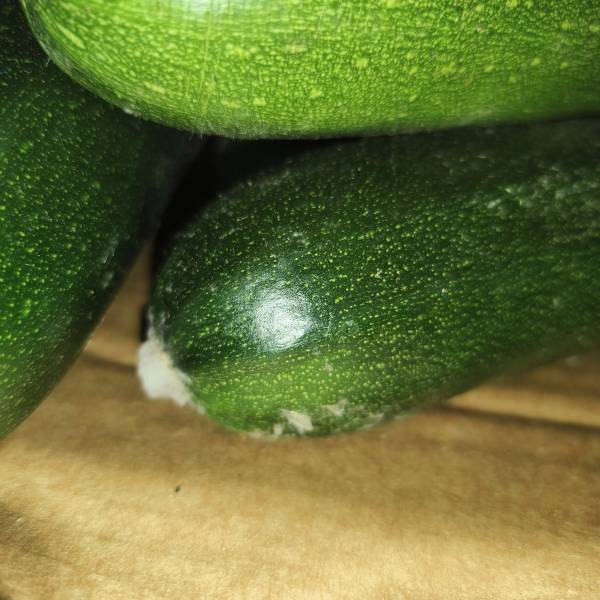 Expertise sinistre transport frigorifique Maroc–France : avarie et moisissure de légumes frais sous chaîne du froid (80–90% de pertes)