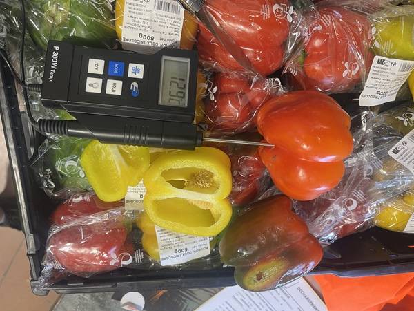 Expertise sur des poivrons suite un problème du groupe frigorifique à Perpignan