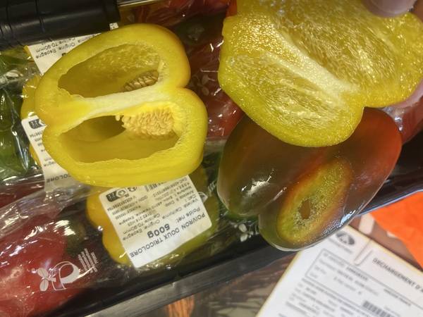 Expertise sur des poivrons suite un problème du groupe frigorifique à Perpignan