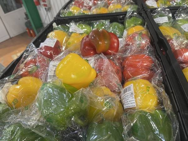 Expertise sur des poivrons suite un problème du groupe frigorifique à Perpignan