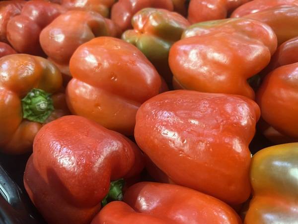Expertise sur des poivrons suite un problème du groupe frigorifique à Perpignan