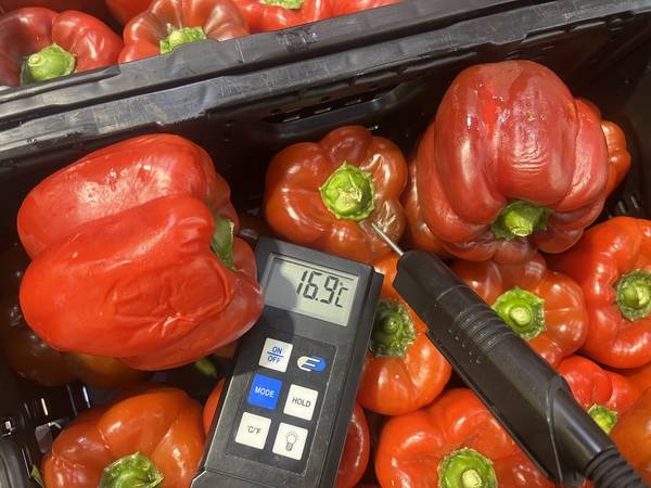 Expertise sur des poivrons suite un problème du groupe frigorifique à Perpignan