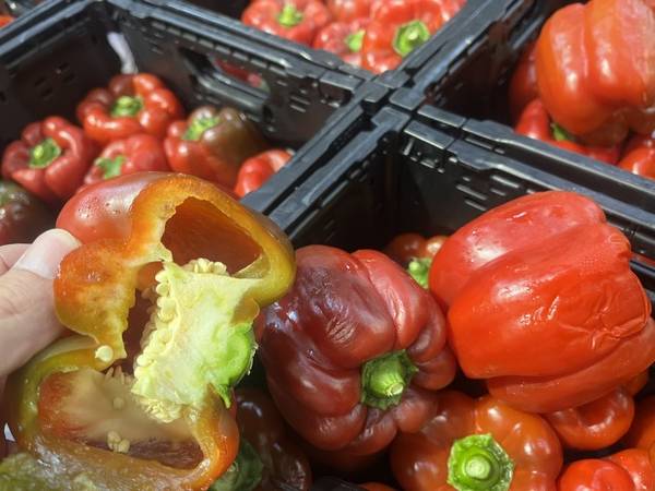 Expertise sur des poivrons suite un problème du groupe frigorifique à Perpignan