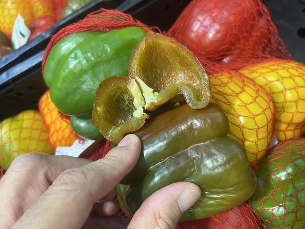 Expertise sur des poivrons suite un problème du groupe frigorifique à Perpignan