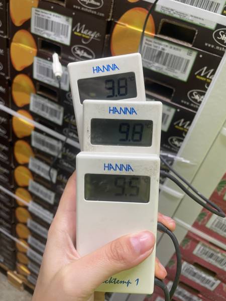 Expertise Transport Frigorifique – Mangues Fraîches à Fos-sur-Mer (13, Provence-Alpes-Côte d’Azur)