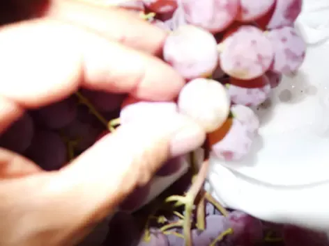 Expertise sur un lot de raisins de table en provenance de Sicile à Cavaillon pour déterminer le montant des dommages