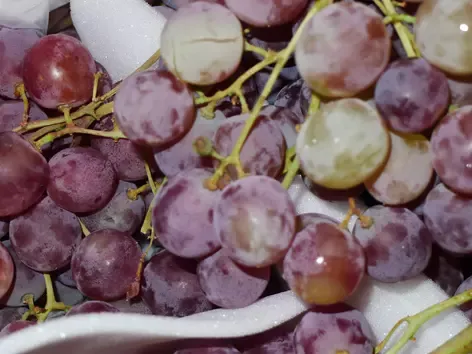 Expertise sur un lot de raisins de table en provenance de Sicile à Cavaillon pour déterminer le montant des dommages