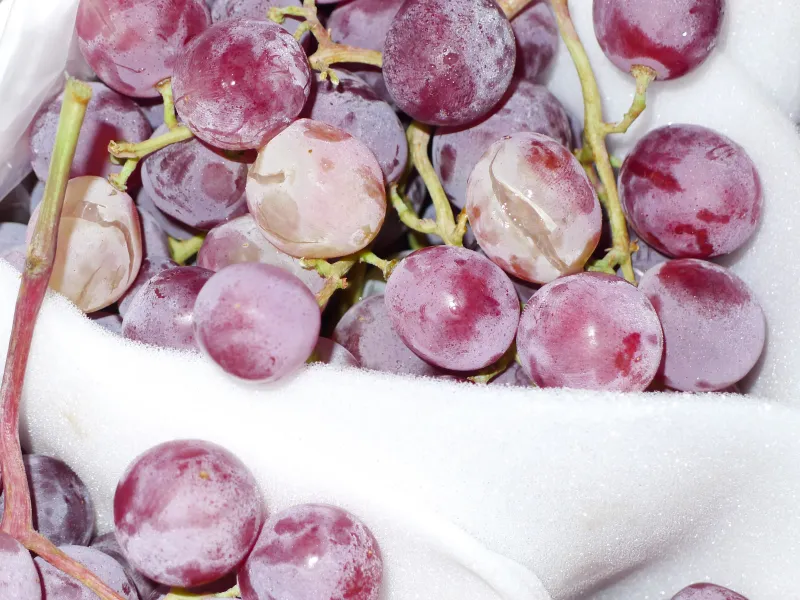 Réalisation inspections d'agréages avant commercialisation de fruits et légumes dans le sud de la France