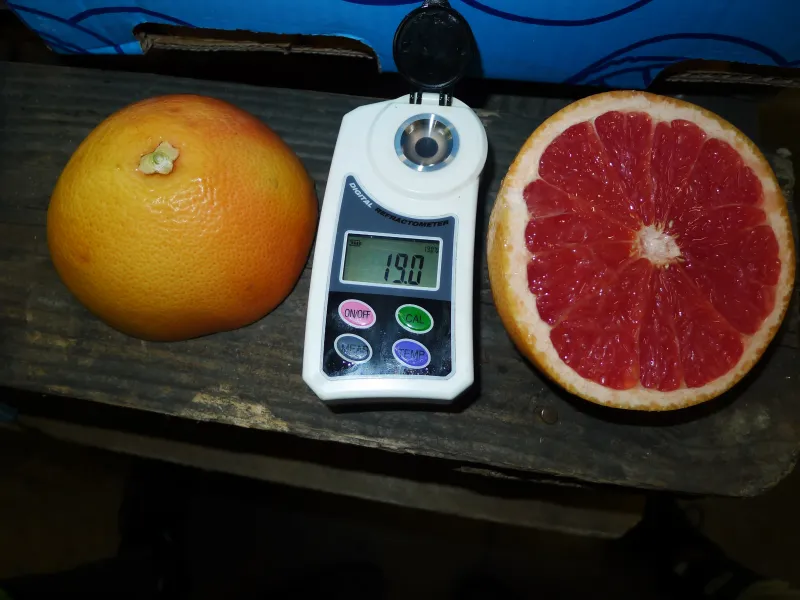 Réalisation inspections d'agréages avant commercialisation de fruits et légumes dans le sud de la France