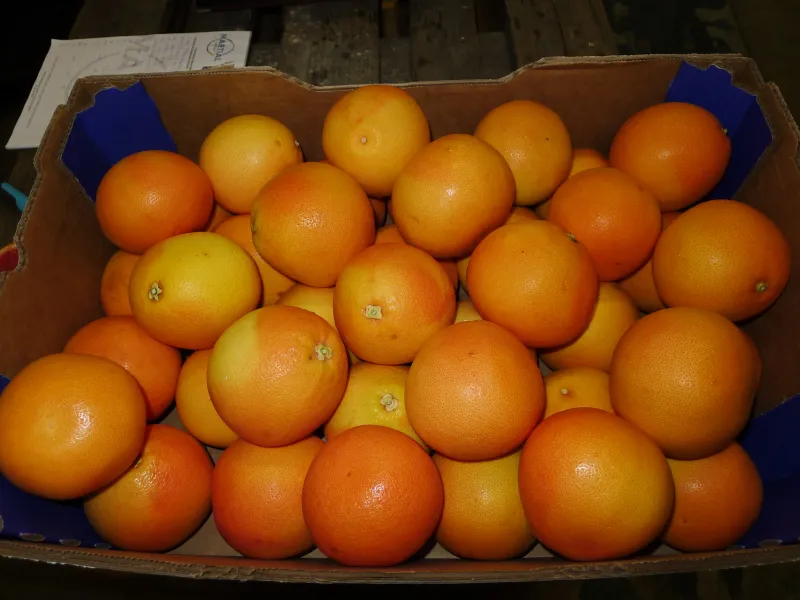 Réalisation inspections d'agréages avant commercialisation de fruits et légumes dans le sud de la France