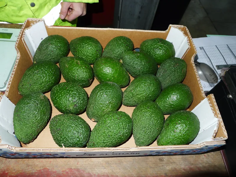 Réalisation inspections d'agréages avant commercialisation de fruits et légumes dans le sud de la France