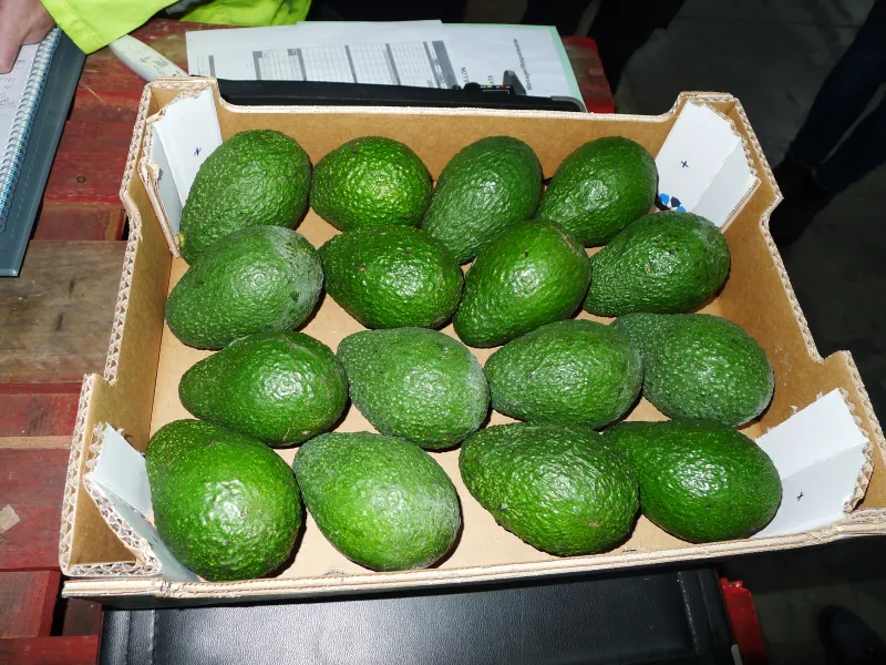 Réalisation inspections d'agréages avant commercialisation de fruits et légumes dans le sud de la France