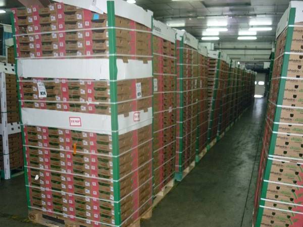 Expert transport maritime fruits et légumes Marseille Bouches-du-Rhône