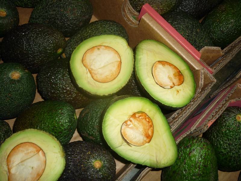 Expert transport maritime fruits et légumes Marseille Bouches-du-Rhône