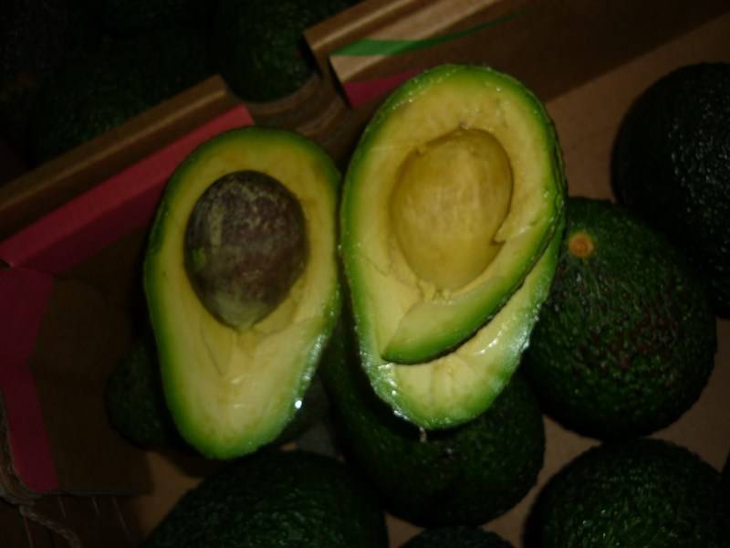 Expert transport maritime fruits et légumes Marseille Bouches-du-Rhône