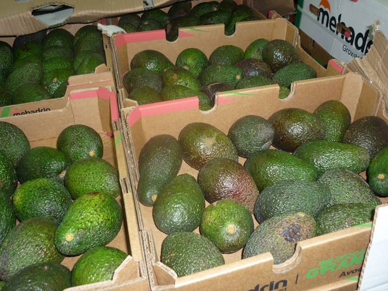 Expert transport maritime fruits et légumes Marseille Bouches-du-Rhône