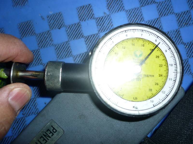 Expert transport maritime fruits et légumes Marseille Bouches-du-Rhône