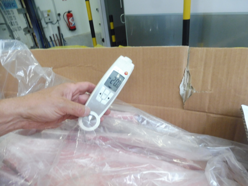 Expertise Conteneur Reefer Super Freezer -60°C à Fos-sur-Mer – Avarie de Température et Marchandises Dégradées