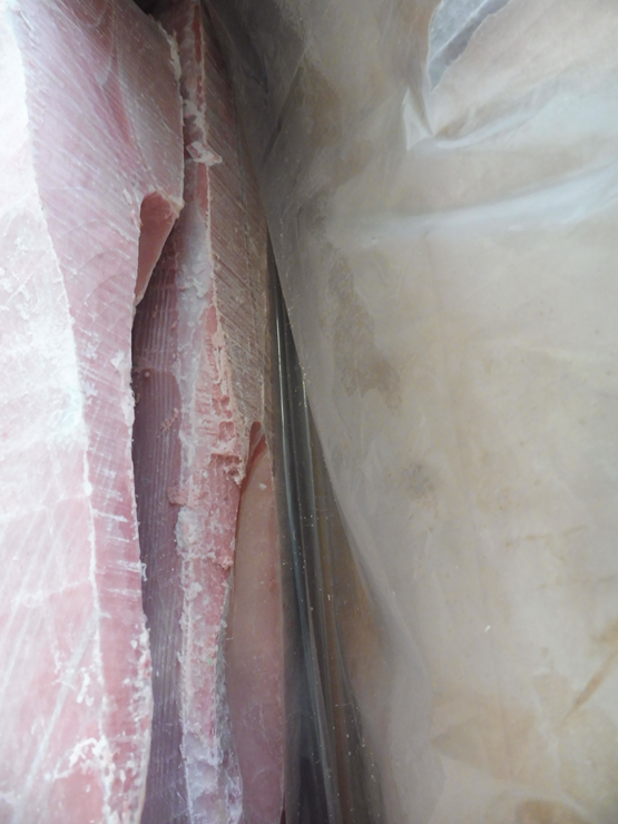 Expertise Conteneur Reefer Super Freezer -60°C à Fos-sur-Mer – Avarie de Température et Marchandises Dégradées