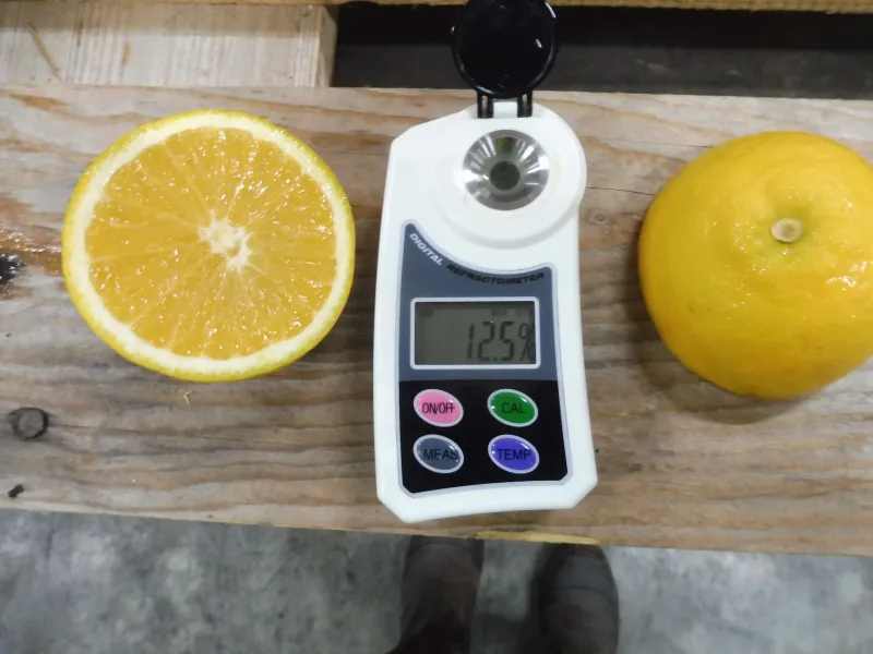 Réalisation inspections d'agréages avant commercialisation de fruits et légumes dans le sud de la France