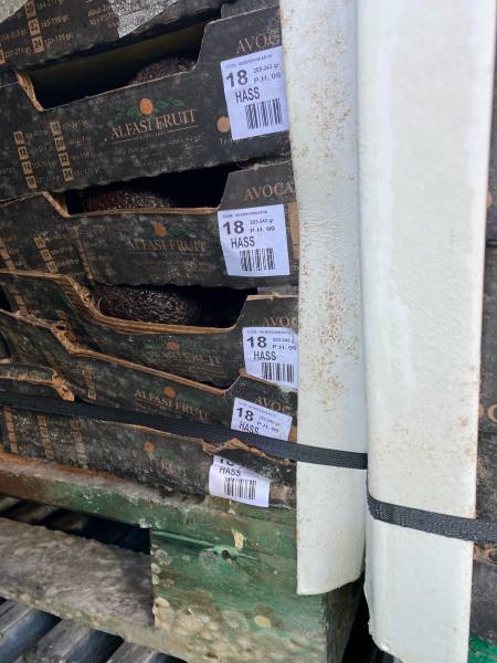 Expertise pour refus de marchandise à la réception – Marseille, Fos-sur-Mer, zone Méditerranée