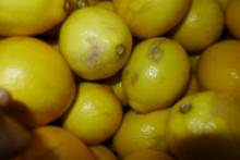 Nos prestations sur le secteur de Fos-sur-Mer 13270 dans les Bouches-du-Rhône